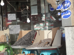 birds nut Tabriz